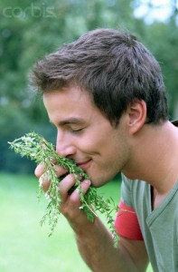 Man Smelling Rosemary --- Image by © Image Source/Corbis